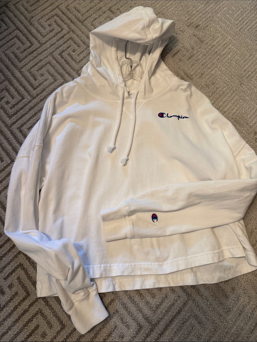 Champion sweatshirt